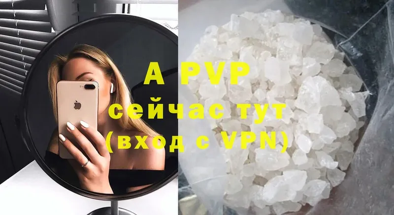 A PVP СК  Северодвинск 