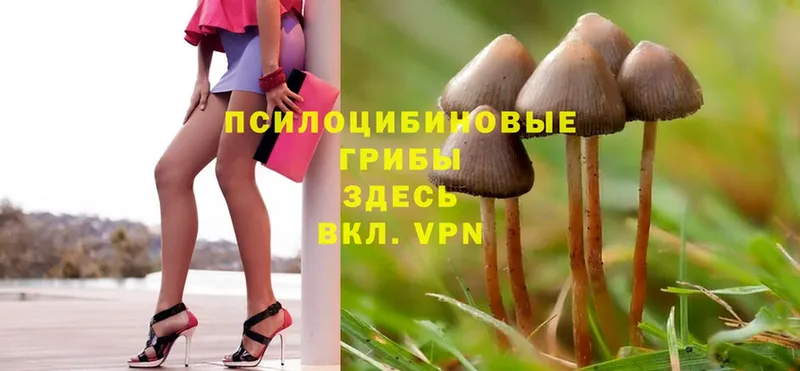 где найти наркотики  Северодвинск  Галлюциногенные грибы MAGIC MUSHROOMS 